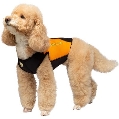 Cressi DWS Dog 3mm Wetsuit [2XS